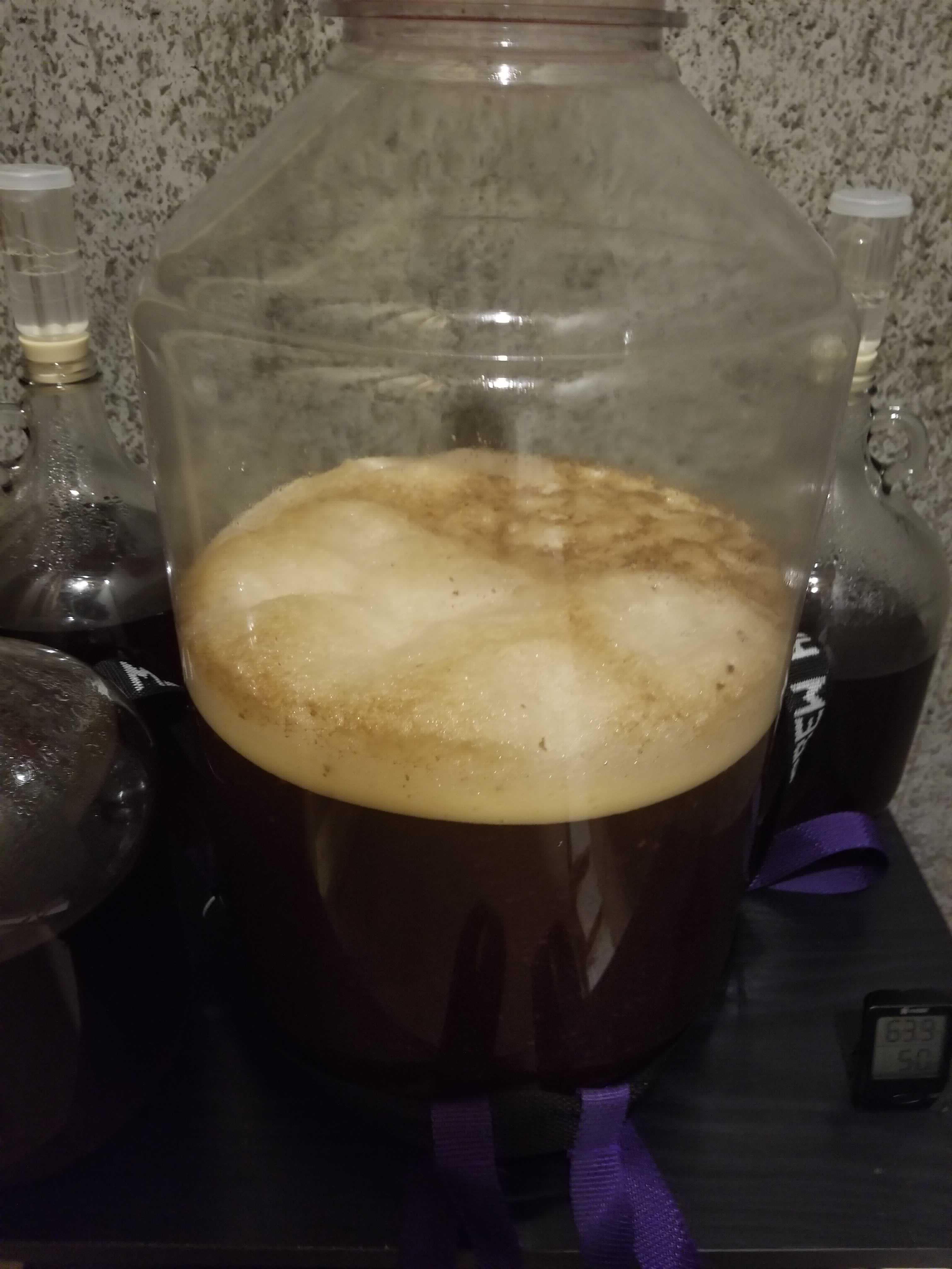 fermentation-2