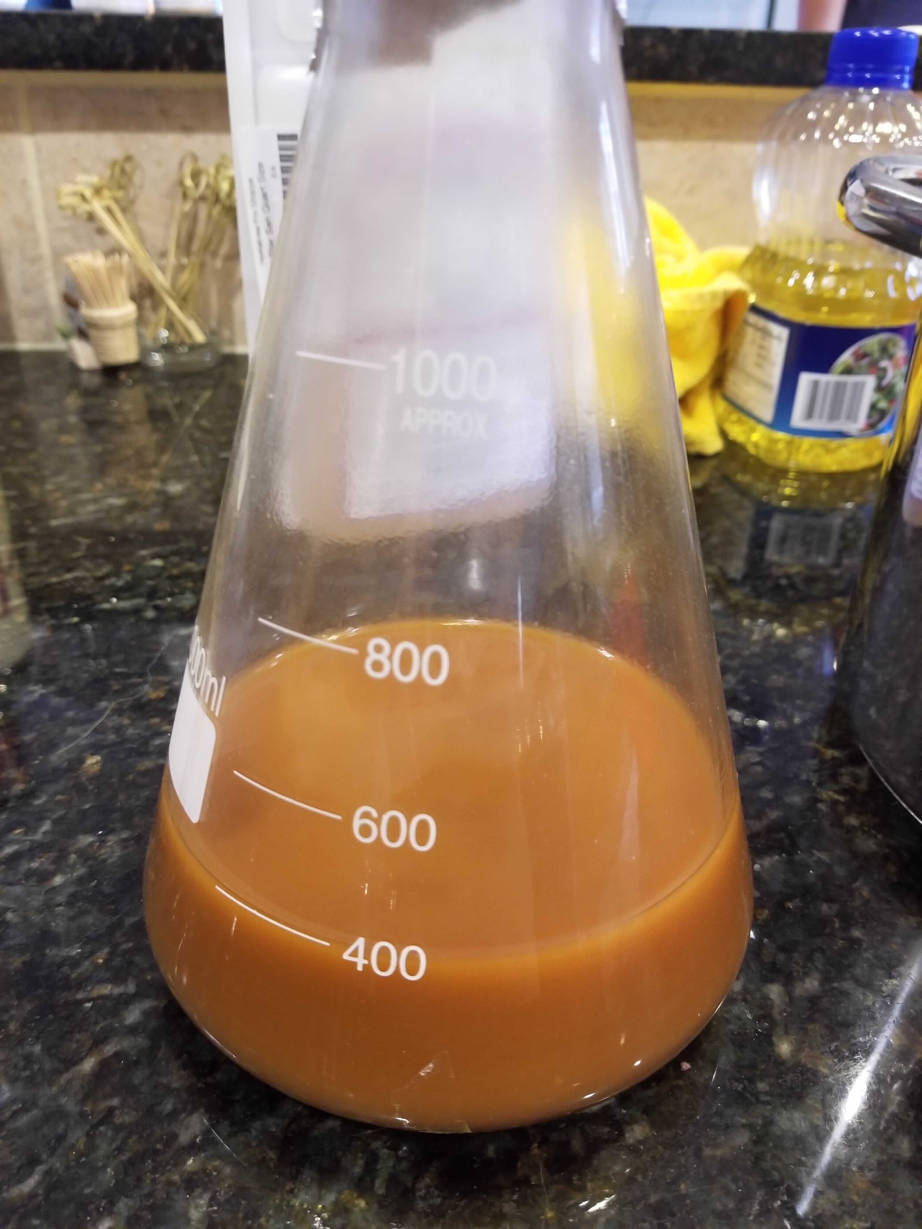 yeast-starter