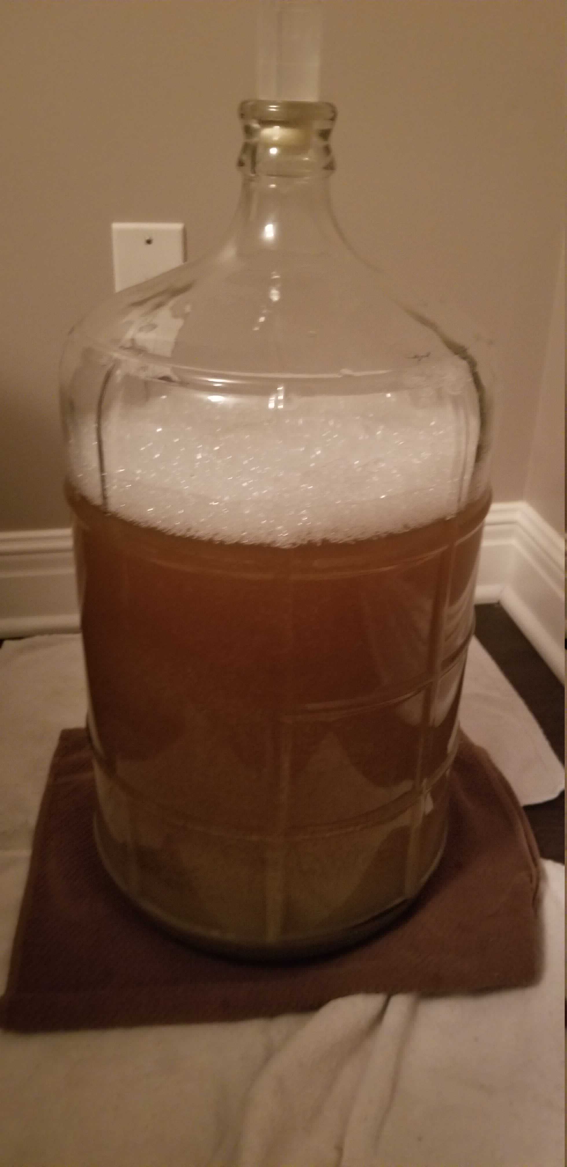 Initial Fermentation