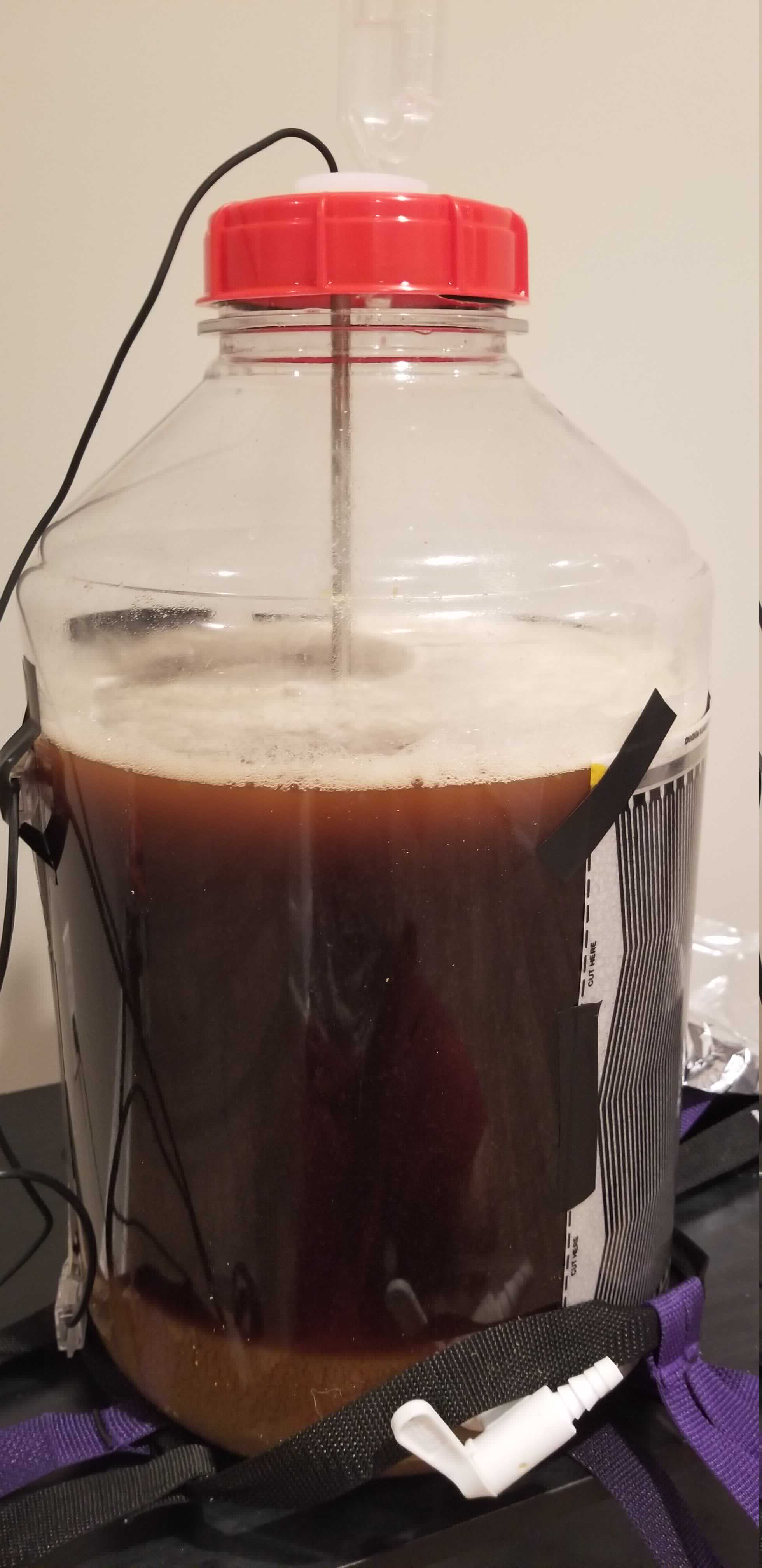 fermentation_1