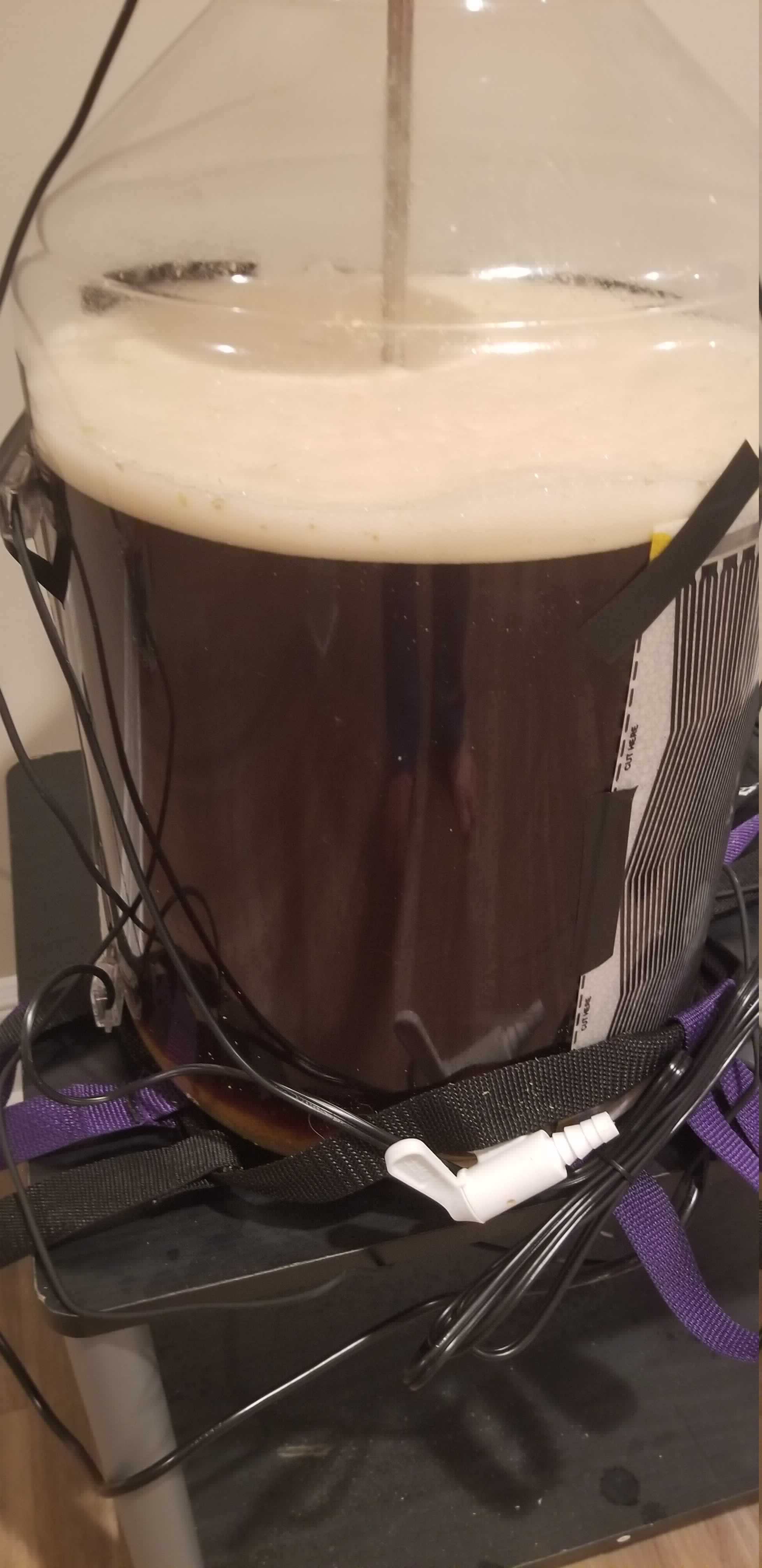 fermentation_2